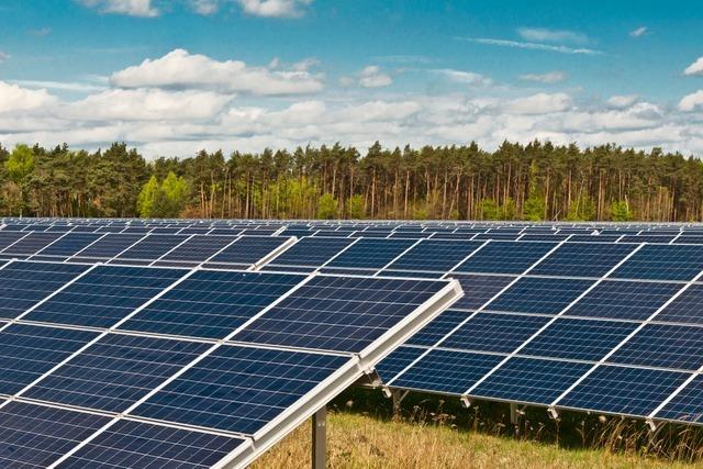 Freiflchen-PV in St. Blasien: Konkurrenz zur Landwirtschaft darf es nicht geben