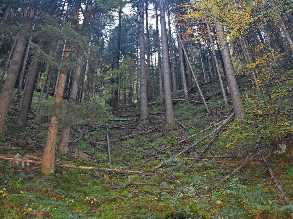 Im Hllental wurde ein Fels gesprengt, der drohte abzustrzen. Sprengbeauftragter Thomas Baumann war verantwortlich fr die erfolgreiche Sprengung.