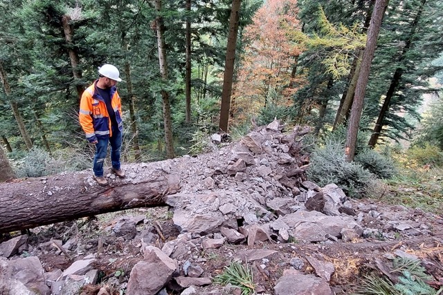 Der Sprengmeister betrachtet sein vollbrachtes Werk.  | Foto: Max Schuler