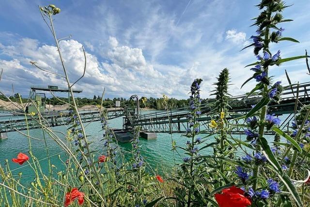 Nun doch: Hartheim will geplantem Wasser- und Bodenverband Sdlicher Breisgau beitreten