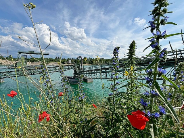 Das Wasser soll aus dem Hartheimer Baggersee der Firma Knobel entnommen  werden.  | Foto: Frank Schoch