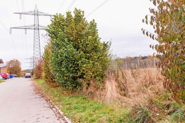 Neue Zufahrten zum Gewerbegebiet Morgenwaide auf der Gemarkung Grafenhausen