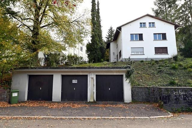 Hundertjhrige Linde muss Neubau in Freiburg-Herdern weichen