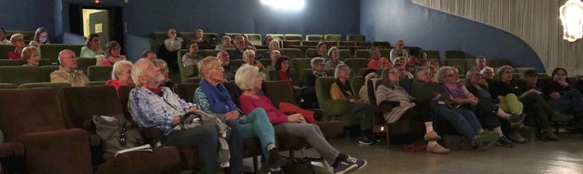 Bilanz im Kino-Sessel: Der gemeinntzi... ein erfolgreiches erstes Jahr zurck.  | Foto: Thomas Winckelmann