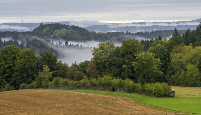   | Foto: Wolfgang Scheu