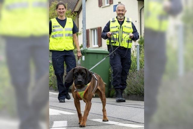 Farouk findet Verunfallten