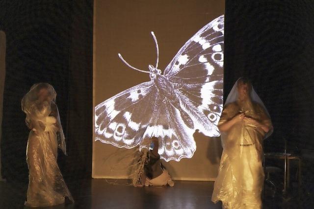 Die Schmetterlingsfrau wird vom Cargo-Theater im H15 in Freiburg aufgefhrt