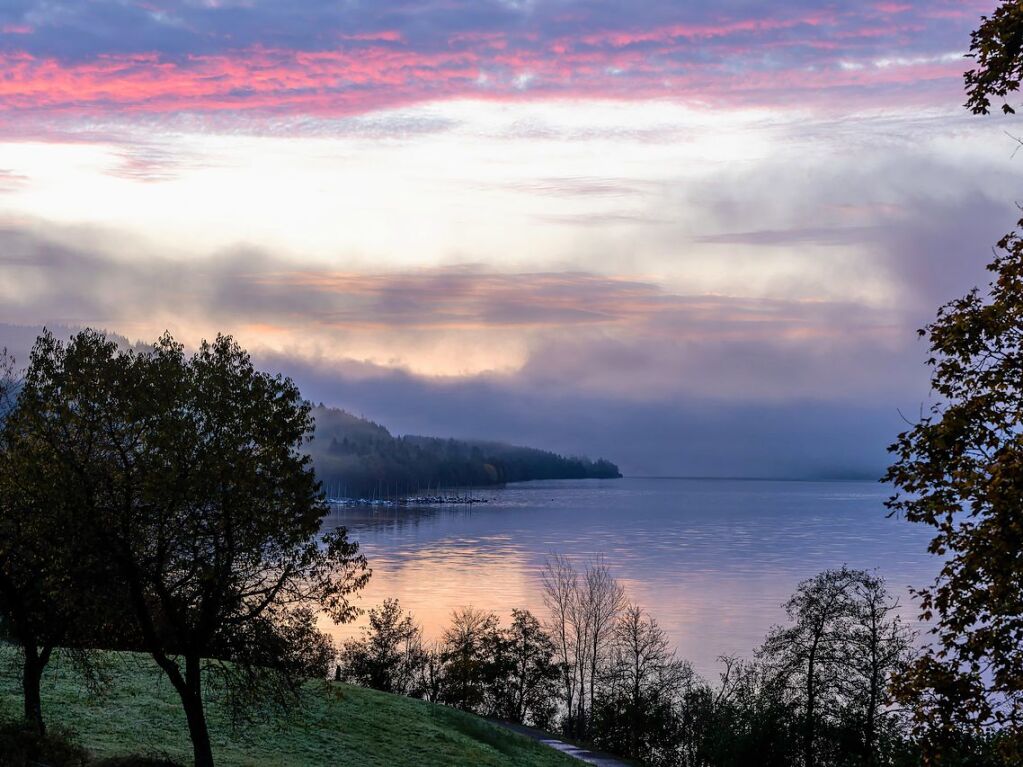 Nebel liegt ber dem Schluchsee und den angrenzenden Wldern.