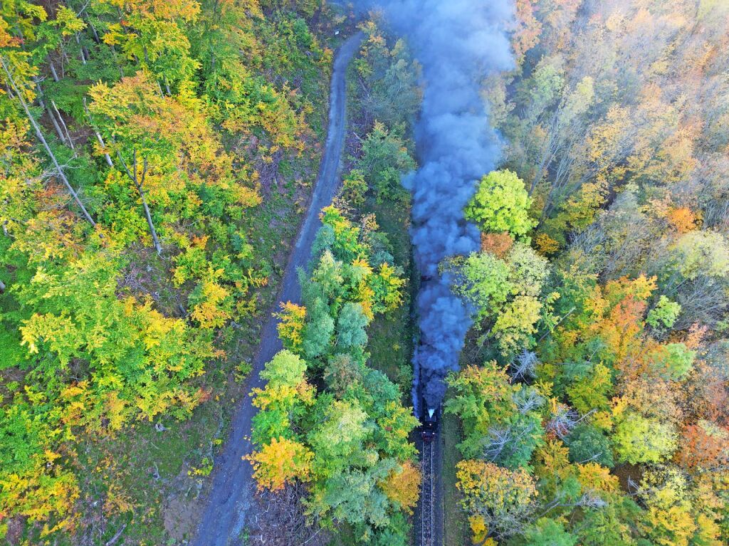 Sachsen-Anhalt, Wernigerode: Ein Zug der Harzer Schmalspurbahnen GmbH fhrt durch eine herbstliche Landschaft bei Wernigerode.