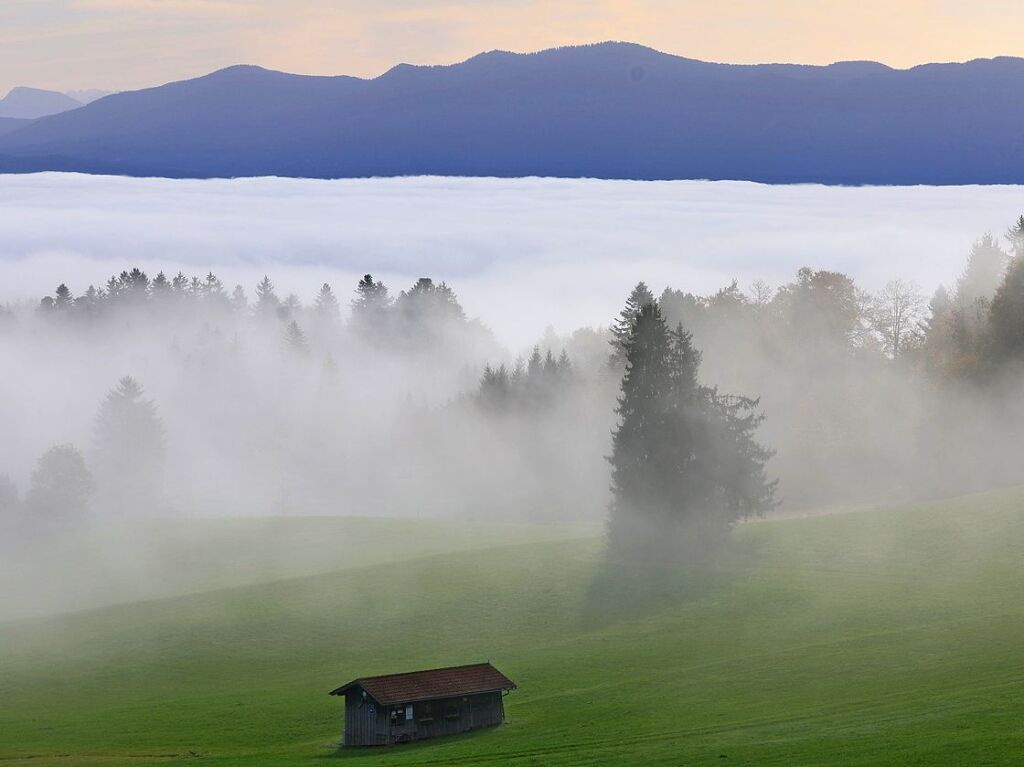 Bayern, Sttten: Nebel ist ber der bayerischen Landschaft vor dem Panorama der Alpen zu sehen.