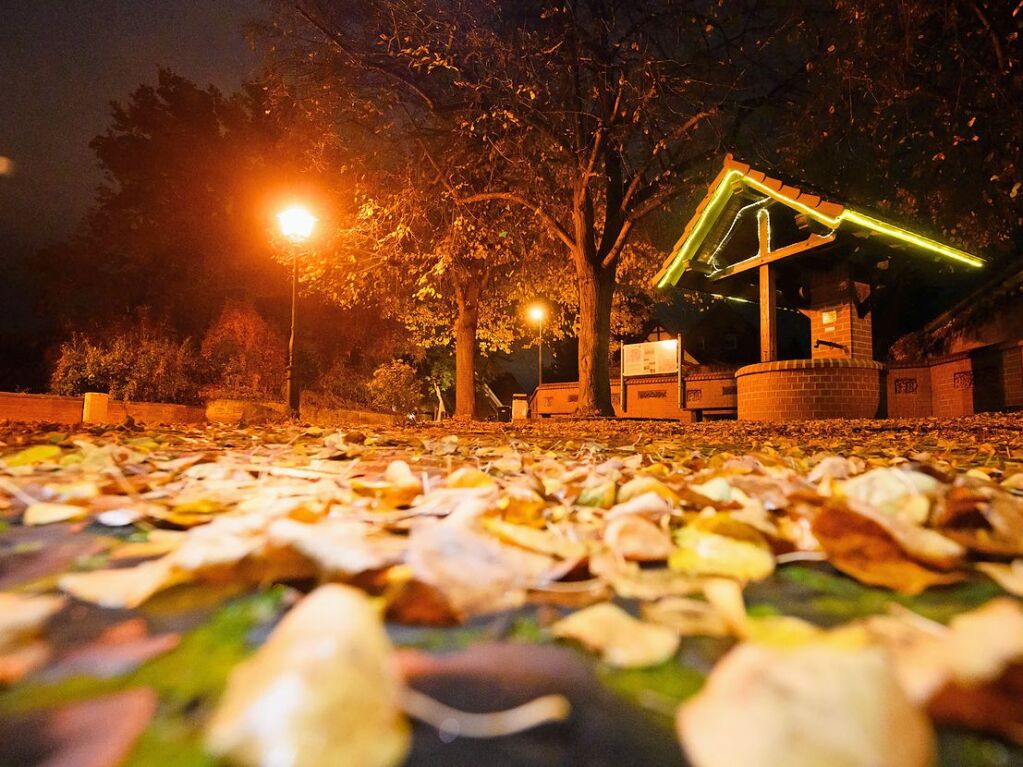 Niedersachsen, Laatzen: Herbstlich verfrbte Bltter liegen auf einer Strae im Laatzener Ortsteil Grasdorf in der Region Hannover.