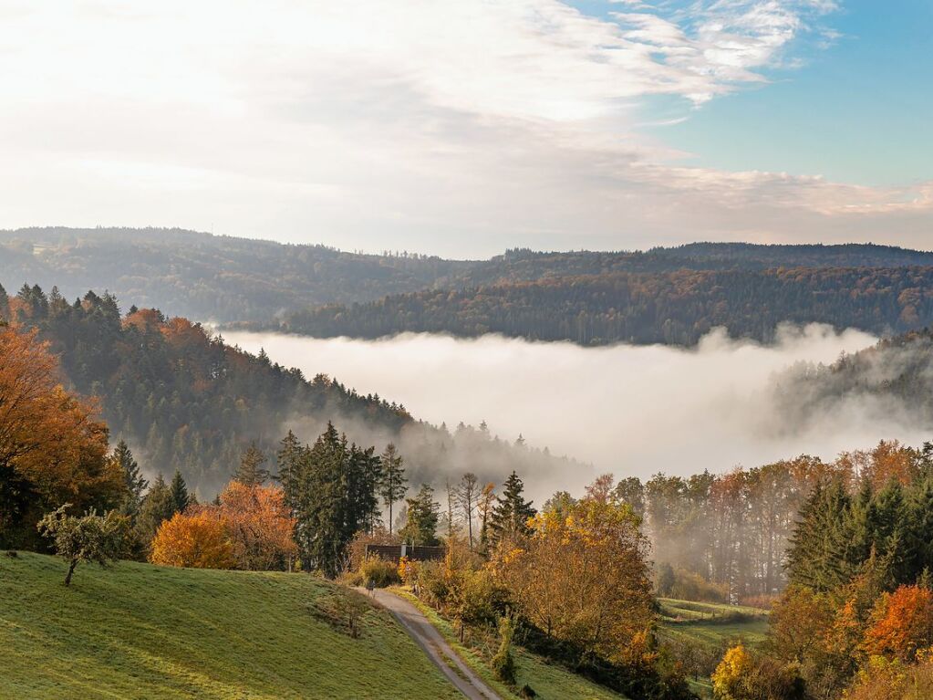 Baden-Wrttemberg, Sulzbach an der Murr: Nebelfelder im Oberen Murrtal.