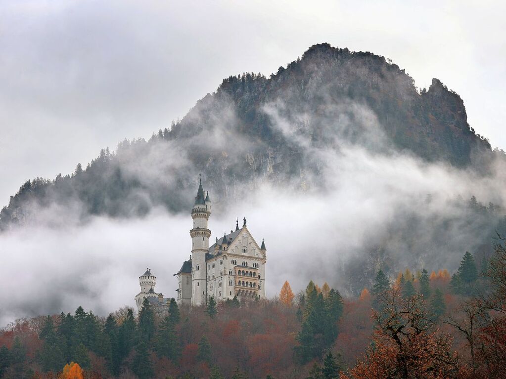 Bayern, Schwangau: Wolkenverhangen steht das Schloss Neuschwanstein in der herbstlichen Landschaft des Knigswinkels.