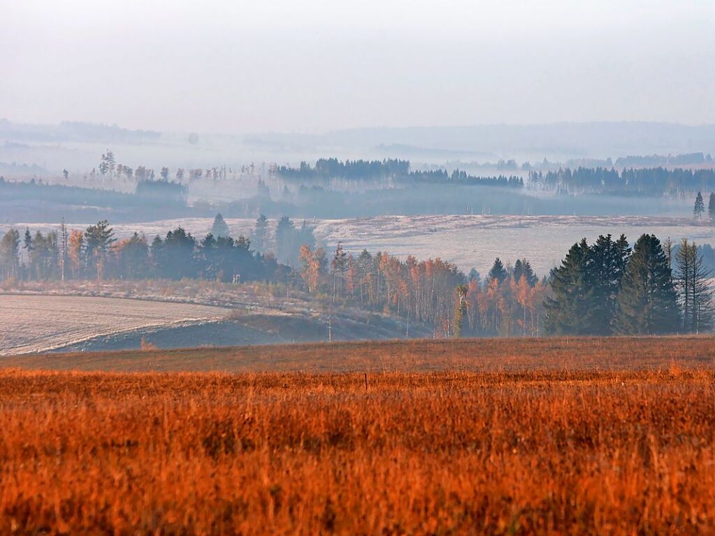 Sachsen-Anhalt, Blankenburg: Nebel zieht bei Elbingerode am frhen Morgen im Licht der aufgehenden Sonne ber das Land.