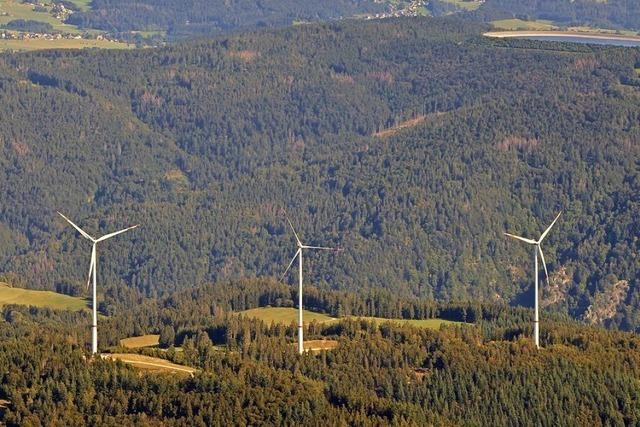 Windkraftgegner in Herrischried bilden Brgerinitiative