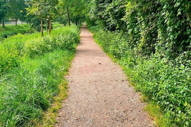 Ein Wanderweg bei St. Mrgen begibt sich auf die Spuren der Schulkinder der 60er-Jahre