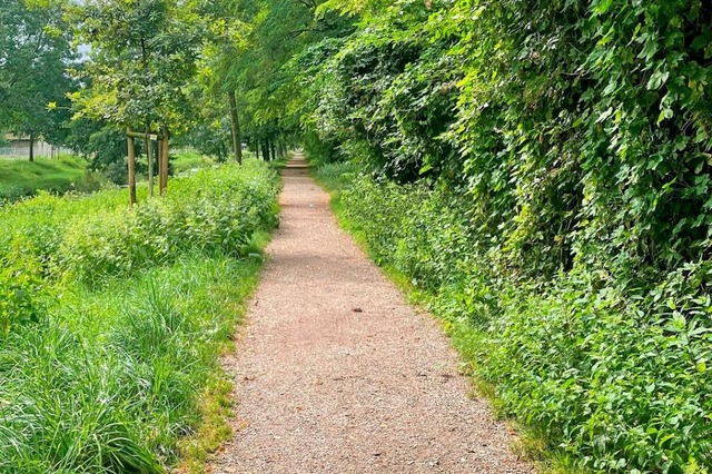 St. Mrgen bekommt einen neuen Wanderweg (Symbolfoto).  | Foto: Ulrike Ott