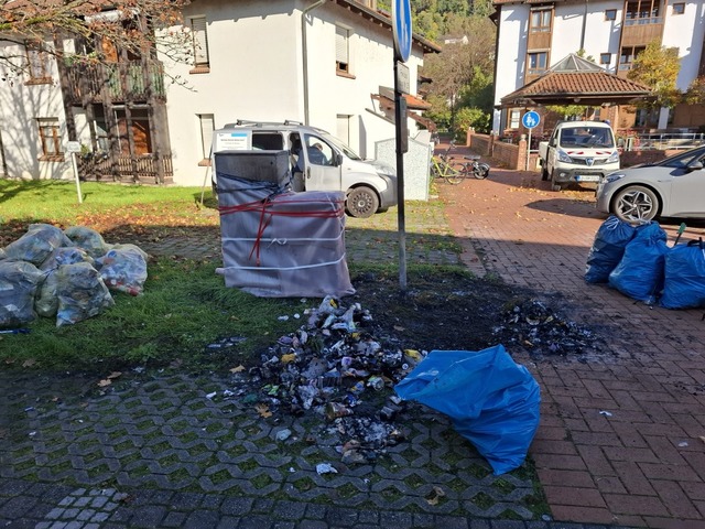 Im Emilienpark verhinderte die Feuerwehr ein Ausbreiten des Brandes.  | Foto: Heinz und Monika Vollmar