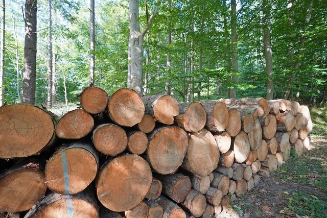 Holzverkauf (Symbolfoto) bleibt wichtig fr Lffingen.  | Foto: Marcus Brandt (dpa)