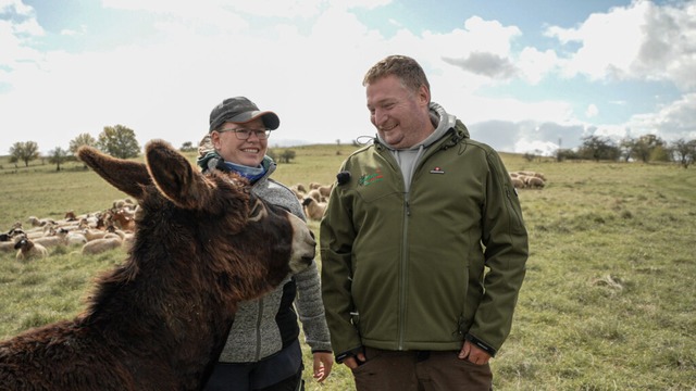 Tessa sucht gerne den Kontakt zum Menschen.  | Foto: Andreas Arnold/dpa