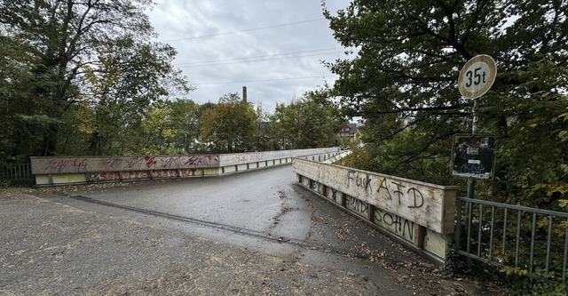 Die Holzverschalung der Wiesenbrcke ist der CDU ein Dorn im Auge.  | Foto: Monika Weber