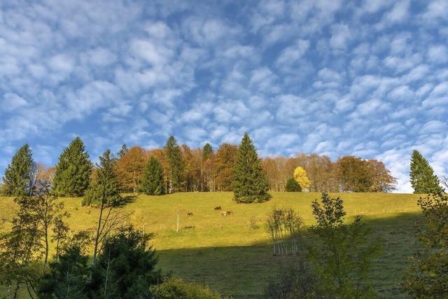 Herbst im Sdschwarzwald