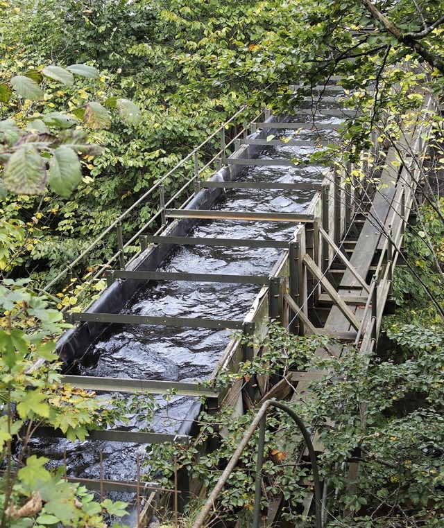 Die Wasserbrcke zwischen der Albtalst...nd der Umgehungsstrae bei St. Blasien  | Foto: Thomas Mutter