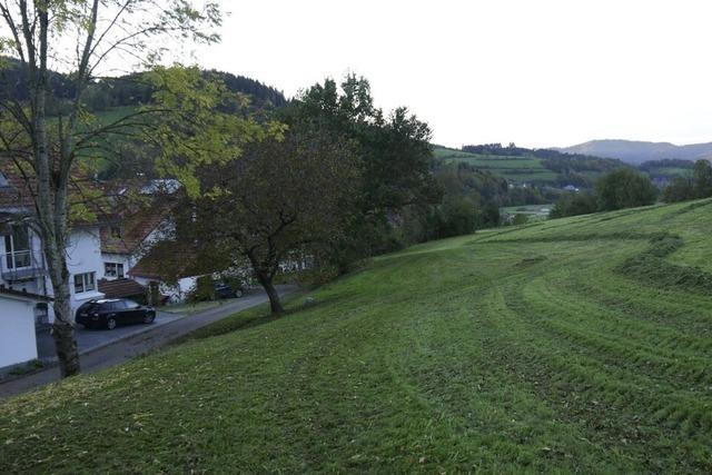 Planung fr Neubaugebiet geht in die nchste Runde