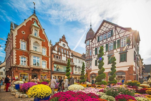 Die Chrysanthema in Lahr startet an diesem Wochenende.  | Foto: Stadt Lahr