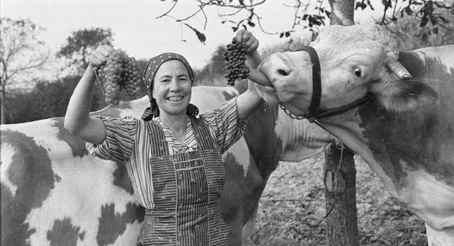 Die ausgestellten Fotos von Martha Oeh...len aus den 1950er- und 1960er-Jahren.  | Foto: Repro: Klaus Schade