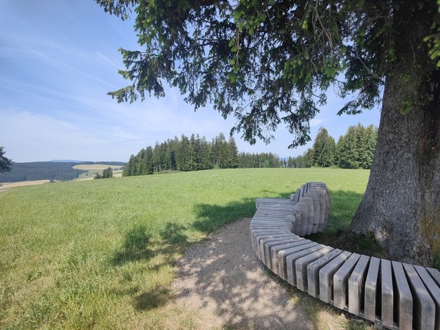 Der Landsitz auf der Fahrenberger Hhe bei St. Mrgen  | Foto: Katharina Hitz