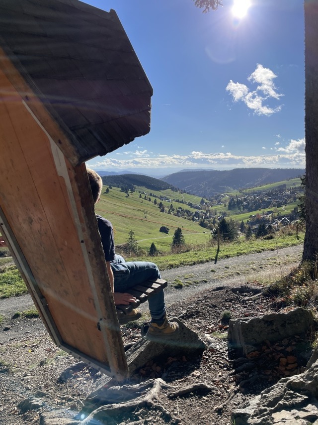 Die Vogelhaus-Schaukel oberhalb von Todtnauberg  | Foto: Silke Kohlmann