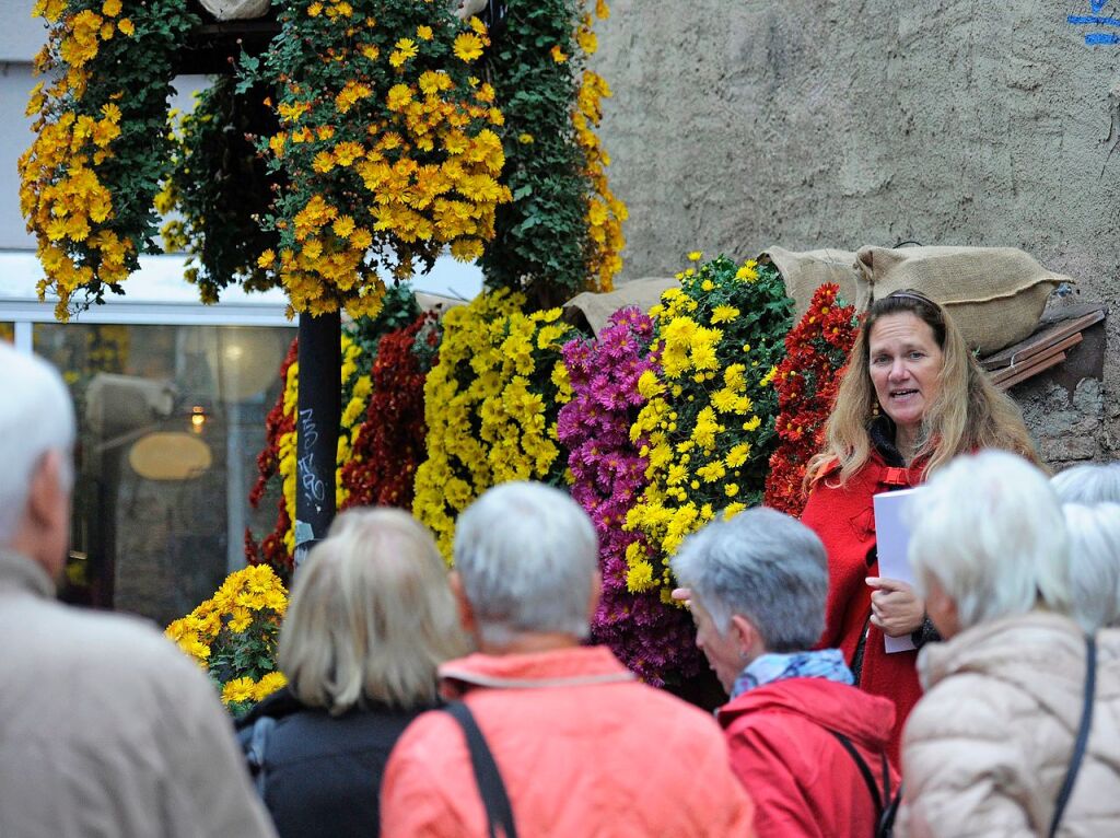 250 Fhrungen sind fr die Jubilums-Chrysanthema gebucht.