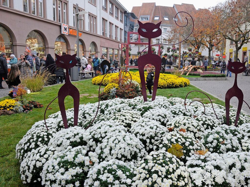 Auf dem Schlossplatz ist ein Katzenmotiv aus der Partnerstadt Dole zu sehen.