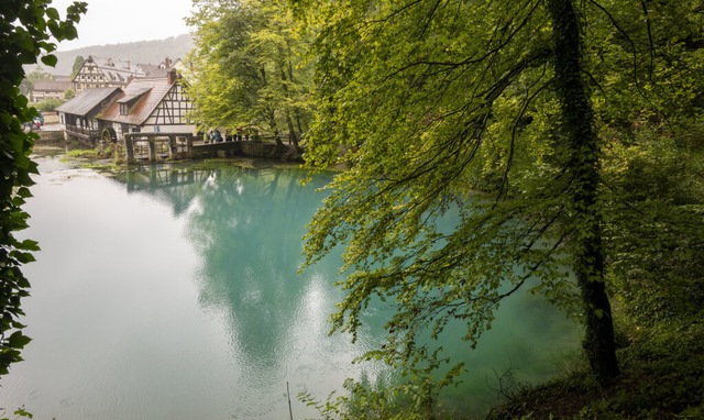 Trkisfarben schimmert das Wasser in d...er schwbischen Alb das Wasser zutage.  | Foto: Stefan Puchner (dpa)