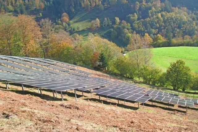 Der vermutlich steilste Solarpark Deutschlands liegt in Frhnd – so soll er der klammen Gemeinde helfen