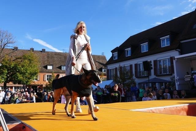 Fotos: Verkaufsoffener Sonntag bringt Breisach zum brummen