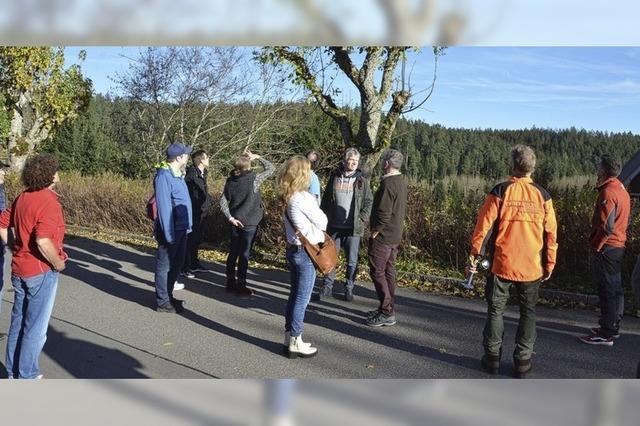 Nicht jeder Baum soll stehen bleiben