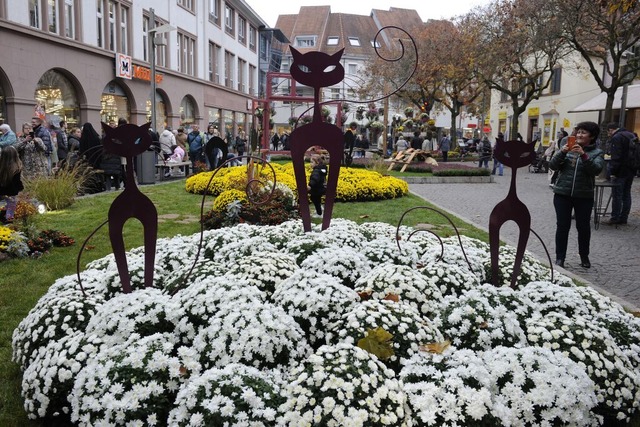 Auf dem Schlossplatz ist ein Katzenmotiv aus Dole zu sehen.  | Foto: Bettina Schaller