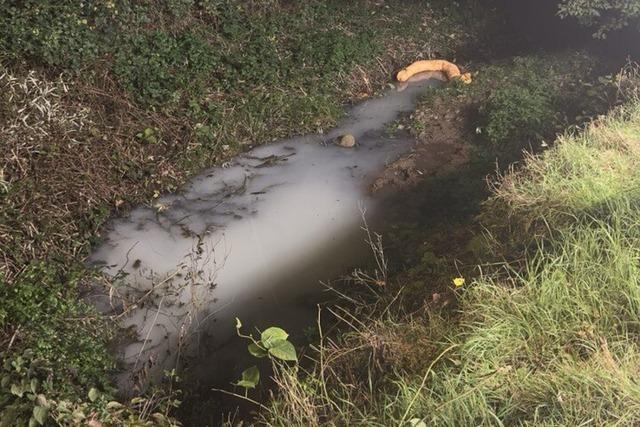 Farbe im Wasser, Katze im Rohr: Die Feuerwehr ist lngst nicht nur im Einsatz, wenn es brennt