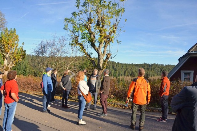 Die Teilnehmer begutachten die Bume in der Prinz-Max-Allee in Friedenweiler.  | Foto: Sonja Niederer