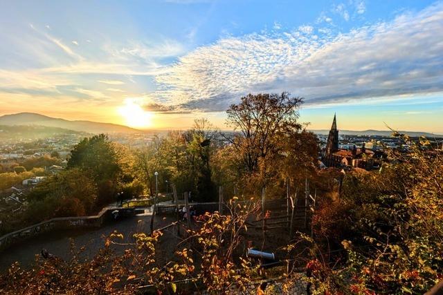 Was man in Freiburg in den Herbstferien unternehmen kann - drinnen und drauen