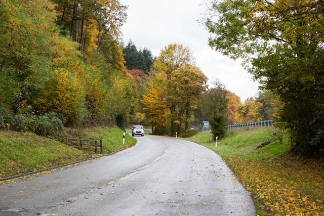 Suggentler Ortsvorsteher zum Schulbus nach  Waldkirch: "Schler mssen jeden Tag zur Schule rennen"