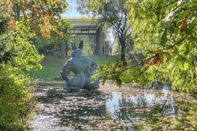 Zum Auftakt in den Urwald am Polarkreis