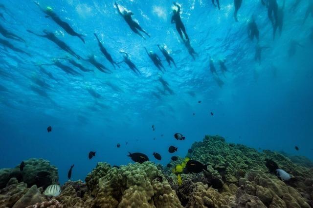 Quallen, Qualen, Infekte: Alle sechs sdbadischen Athleten finishen beim Ironman Hawaii