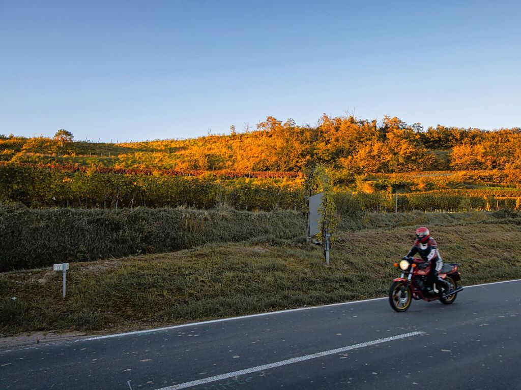 Der Motorradfahrer zwischen Btzingen und Eichstetten nutzt einen trockenen Tag fr eine Ausfahrt, natrlich mit eingeschaltetem Licht.