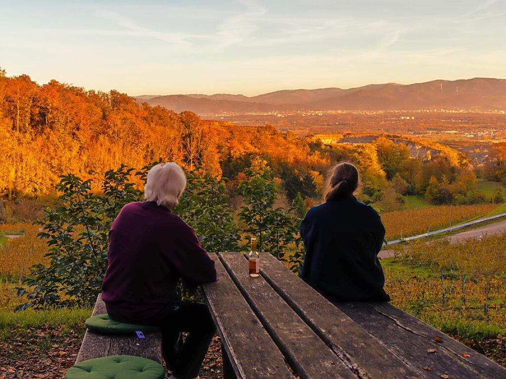 Genuss am Vogelsang mit Blick nach Freiburg