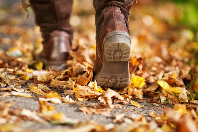 Derzeit angesagt: gemltich durchs Her...ch gut das richtige Laufen trainieren.  | Foto: contrastwerkstatt (stock.adobe.com) 