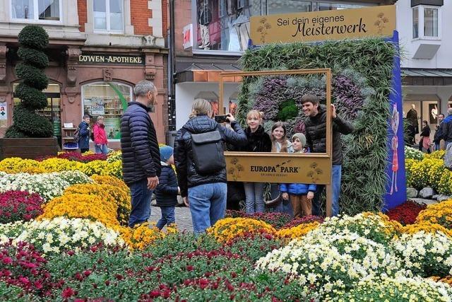 Was das Erfolgsrezept der Chrysanthema in Lahr ist