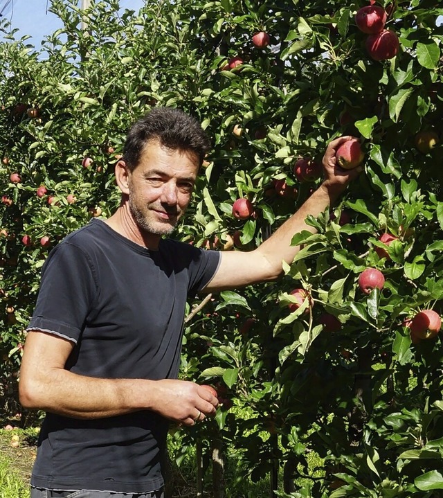 Obstbauer Bruno Preis aus Kssaberg is...ier steht er in seiner Apfelplantage.   | Foto:  Martin Schwab 